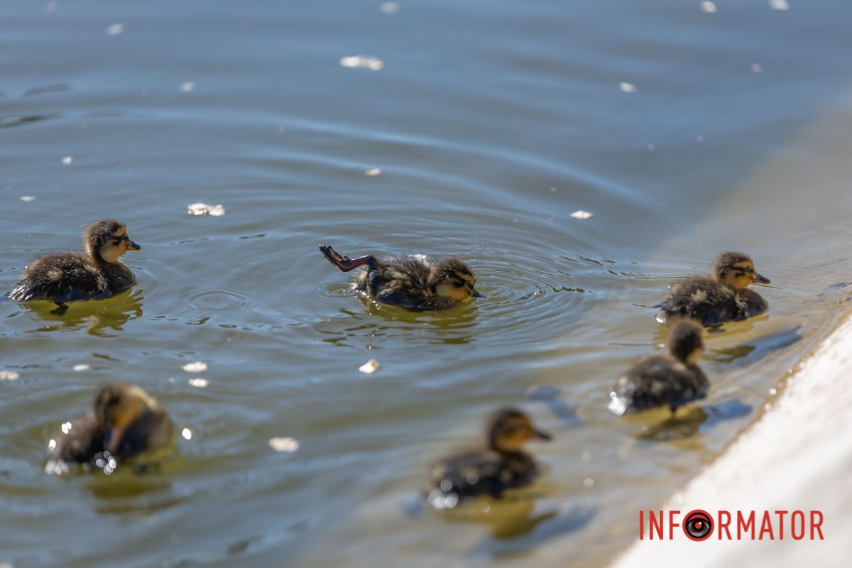 Бо настав вже їхній строк.