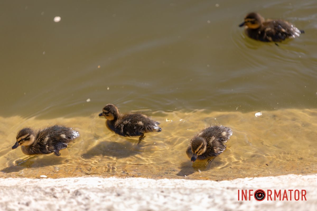 Щоб ніхто не загубився