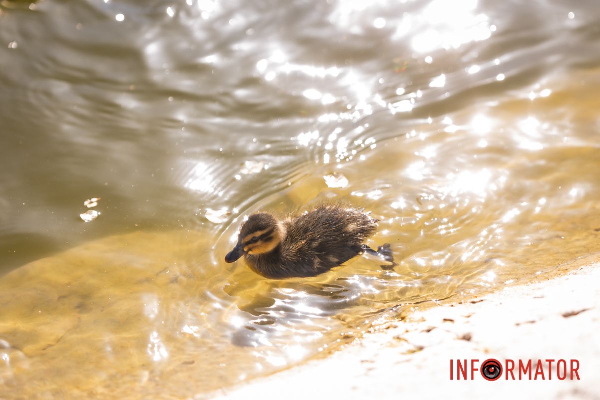 Турбуватись за малят.