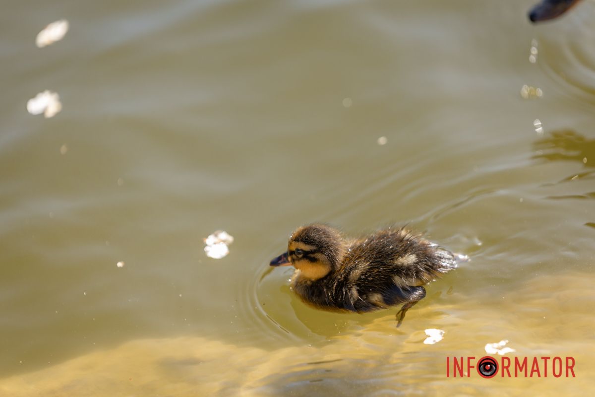Щоб помилок а ні грама
