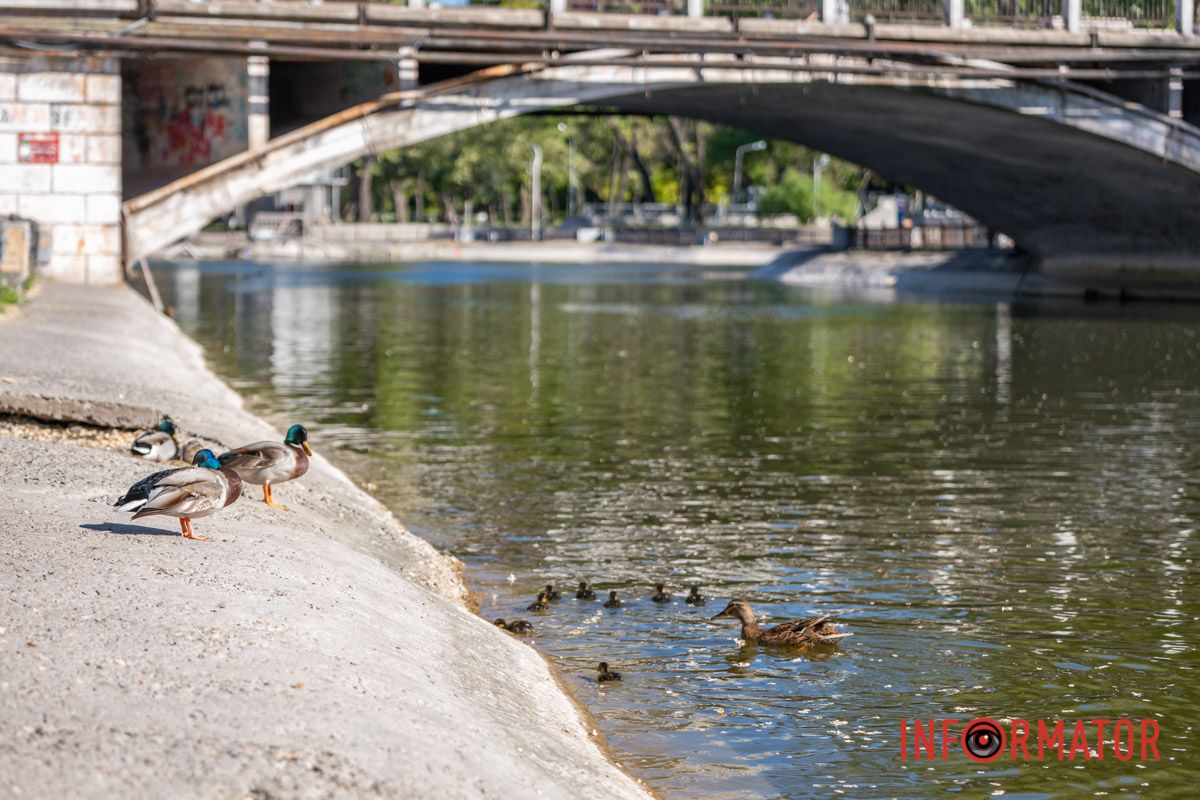 Утече із відсіля.