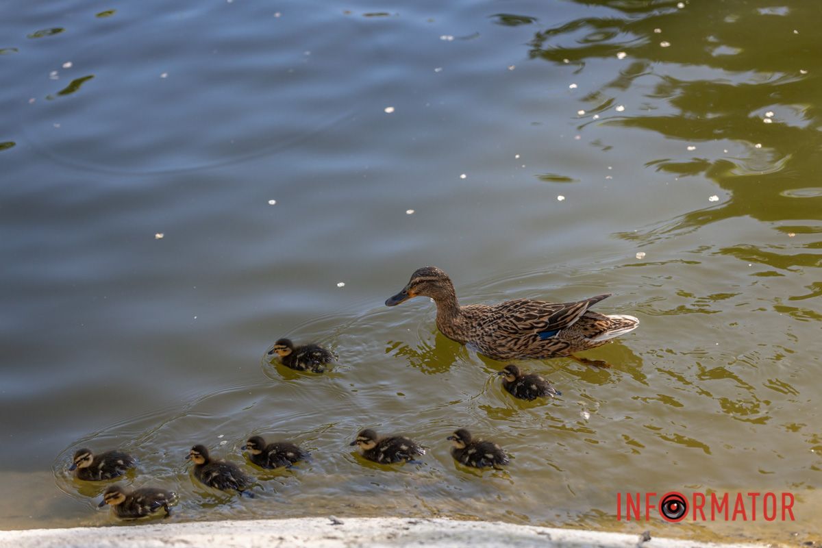 Бо тоді вже буде жах.