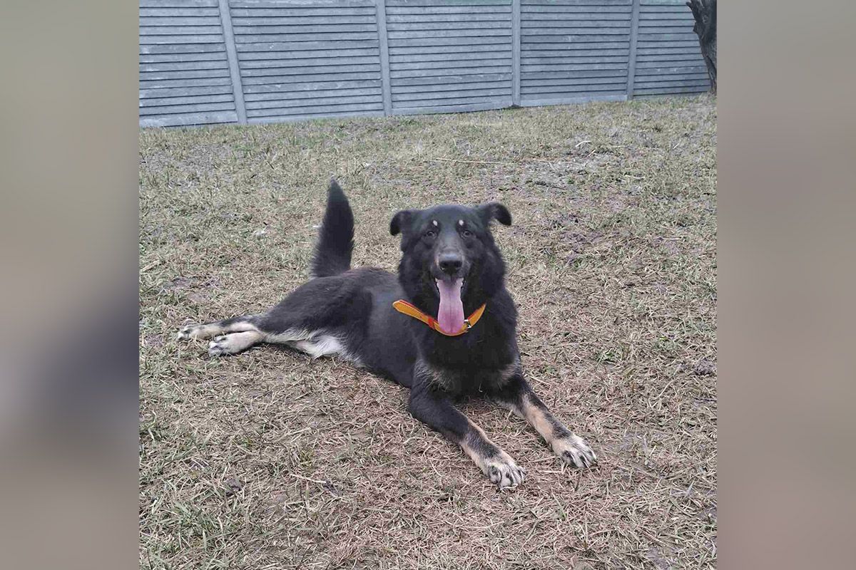 Вы только посмотрите в эти глазки