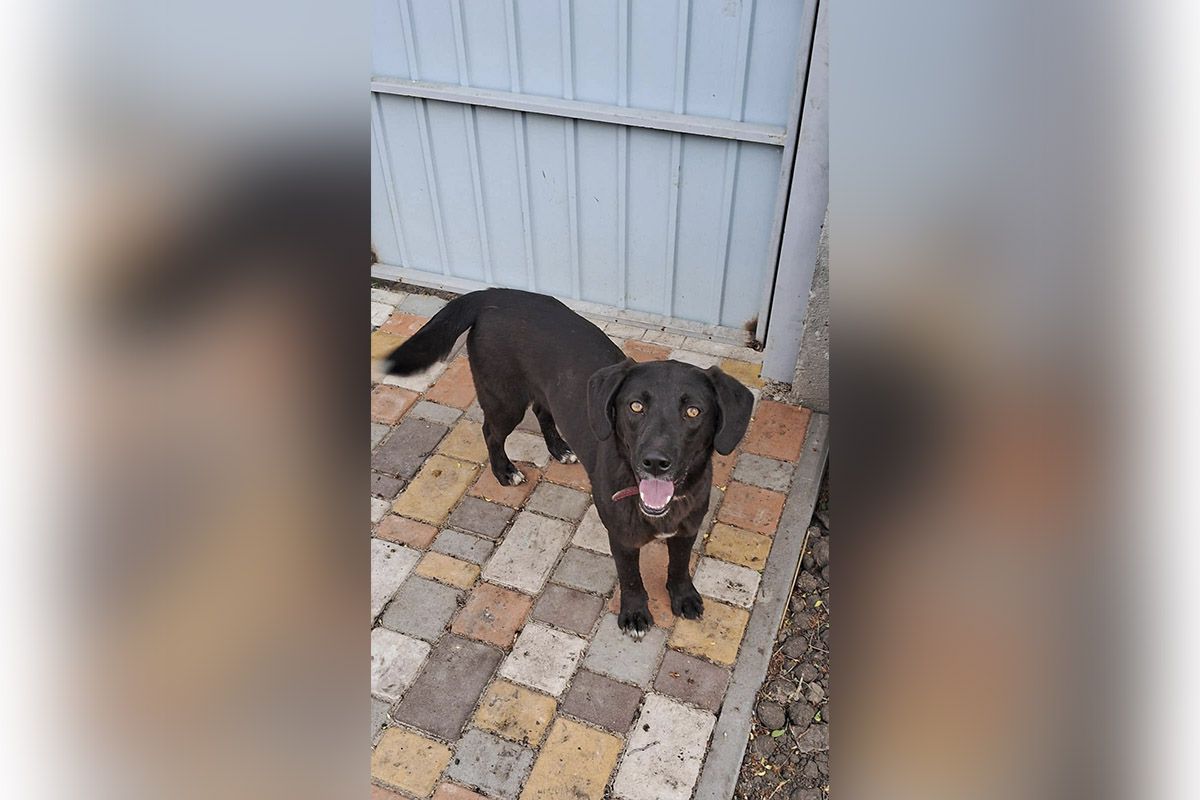 Ожидают праздника