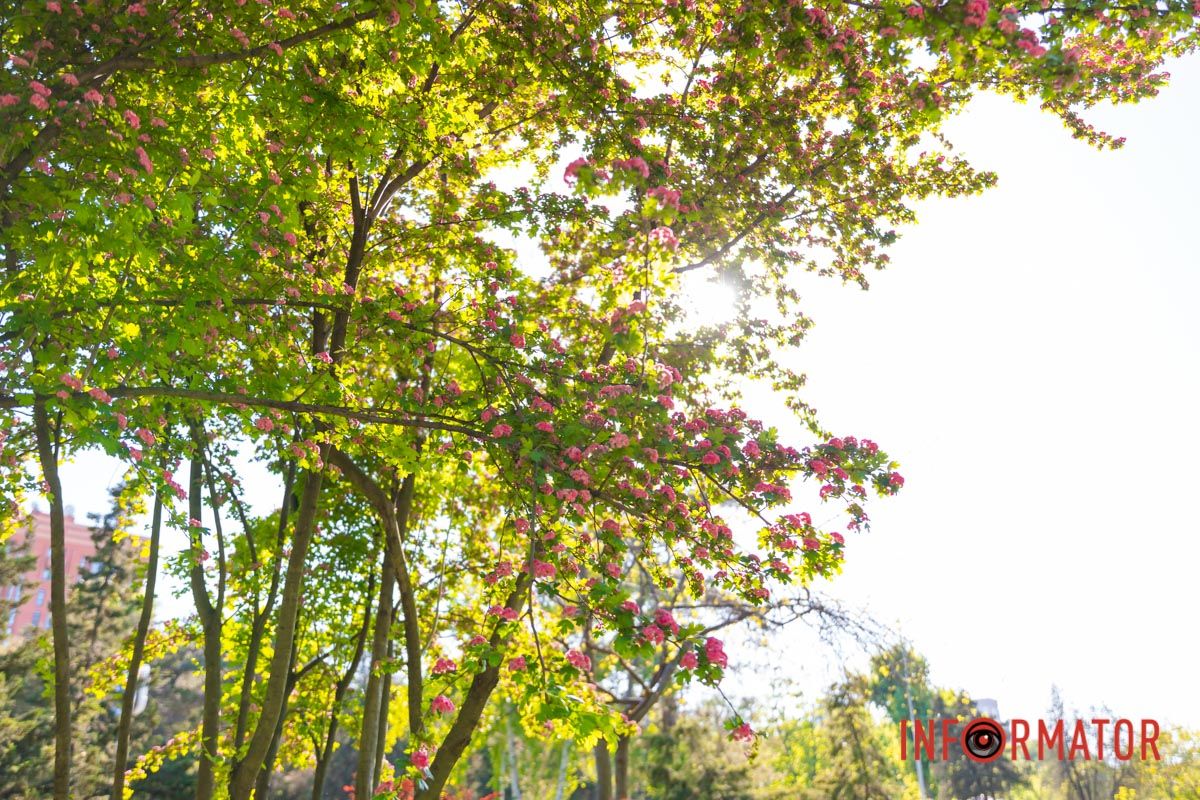 У цей час так не вистачає позитиву