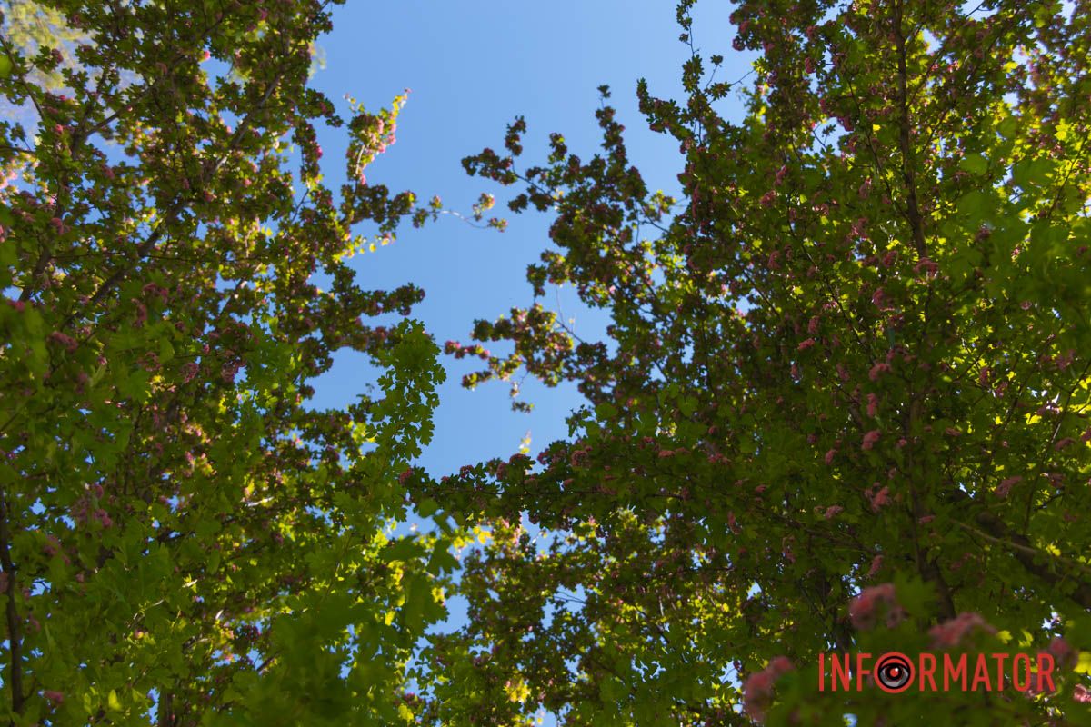 Палітра весняних кольорів