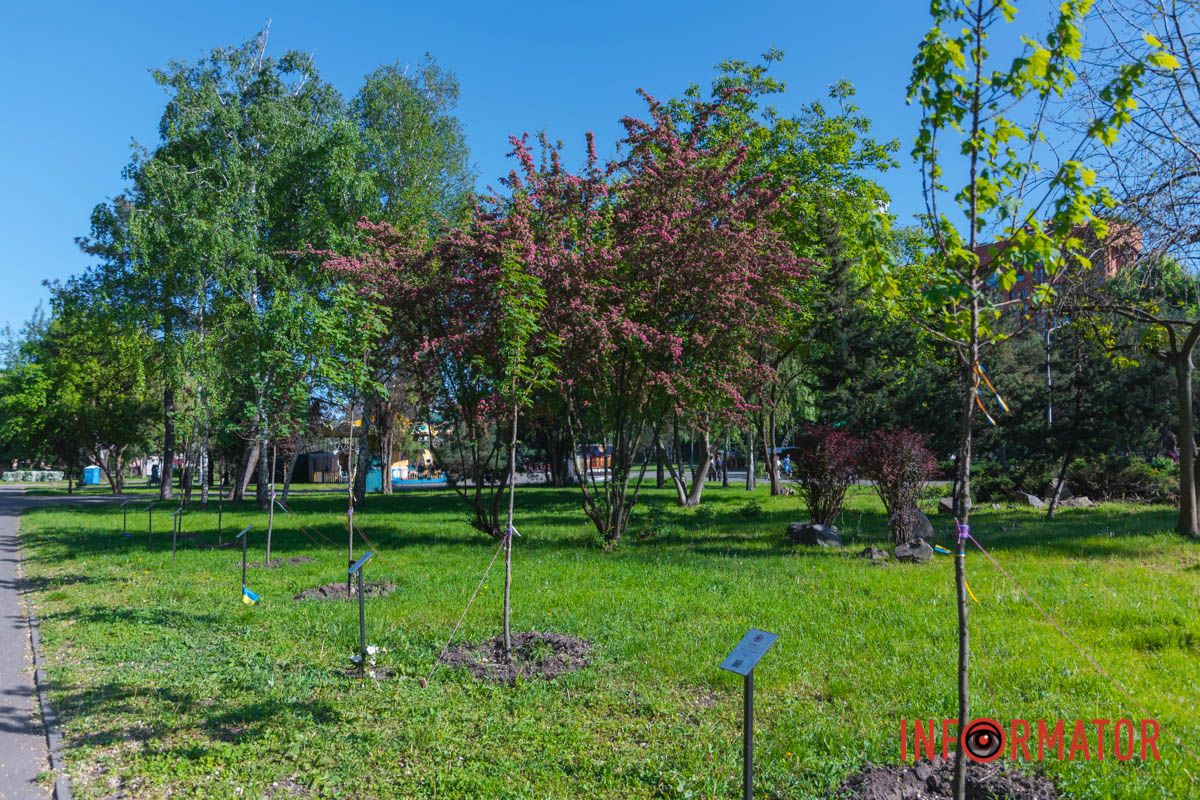 Їх дуже багато