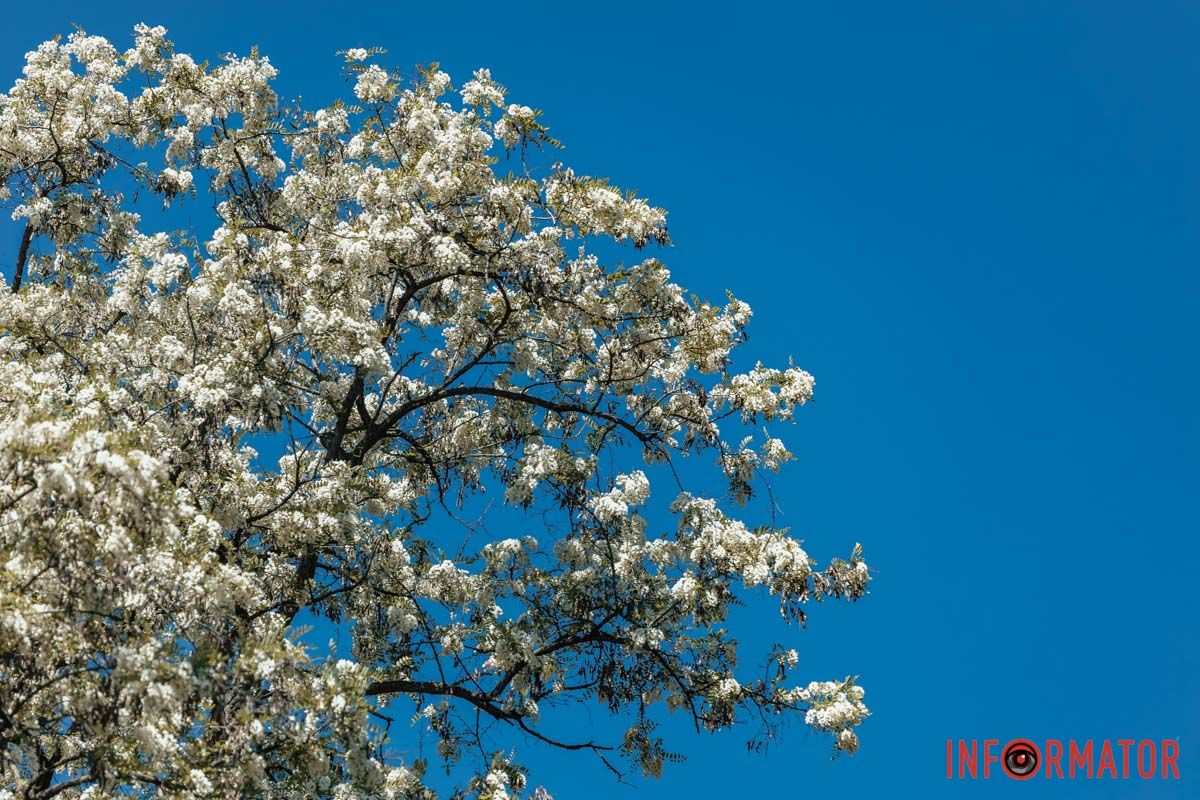 Будем iти ми з тобою тодi