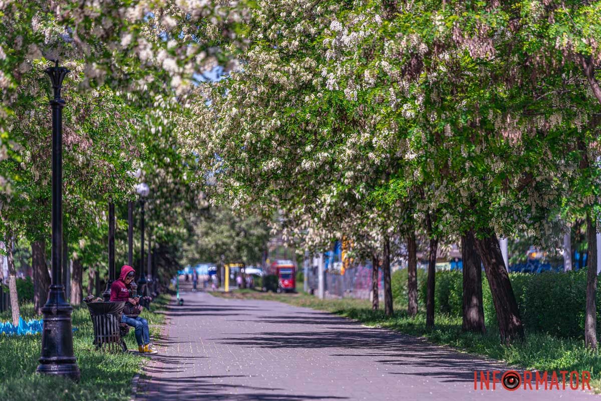 В блакить, застромлений літак.