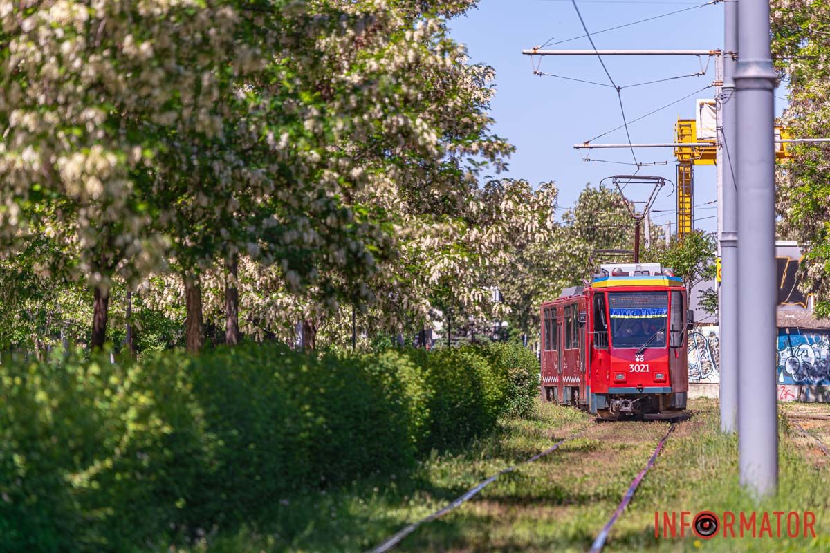 Як шпиль блідого обеліска,