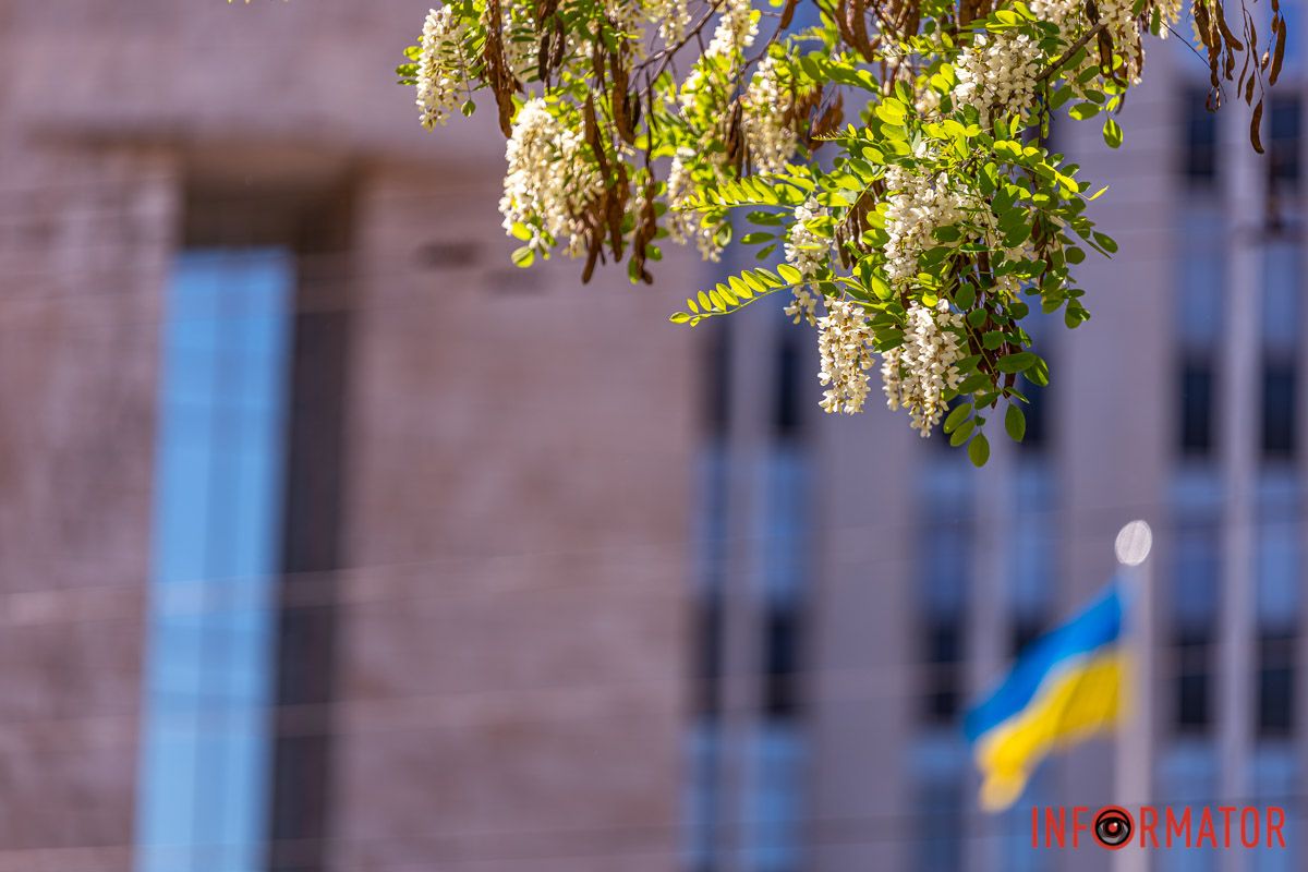 Полови сонячна луска;