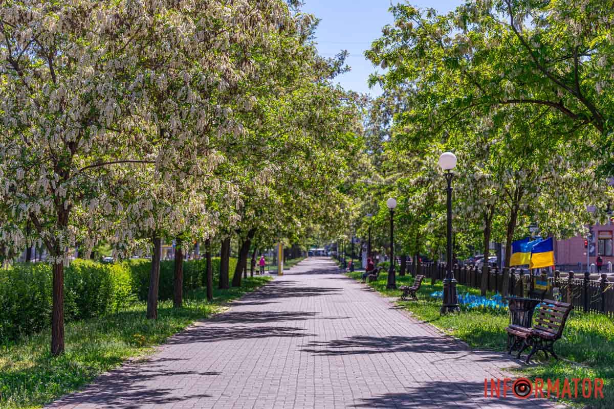 Гніздо в колоссі, мов колиска,