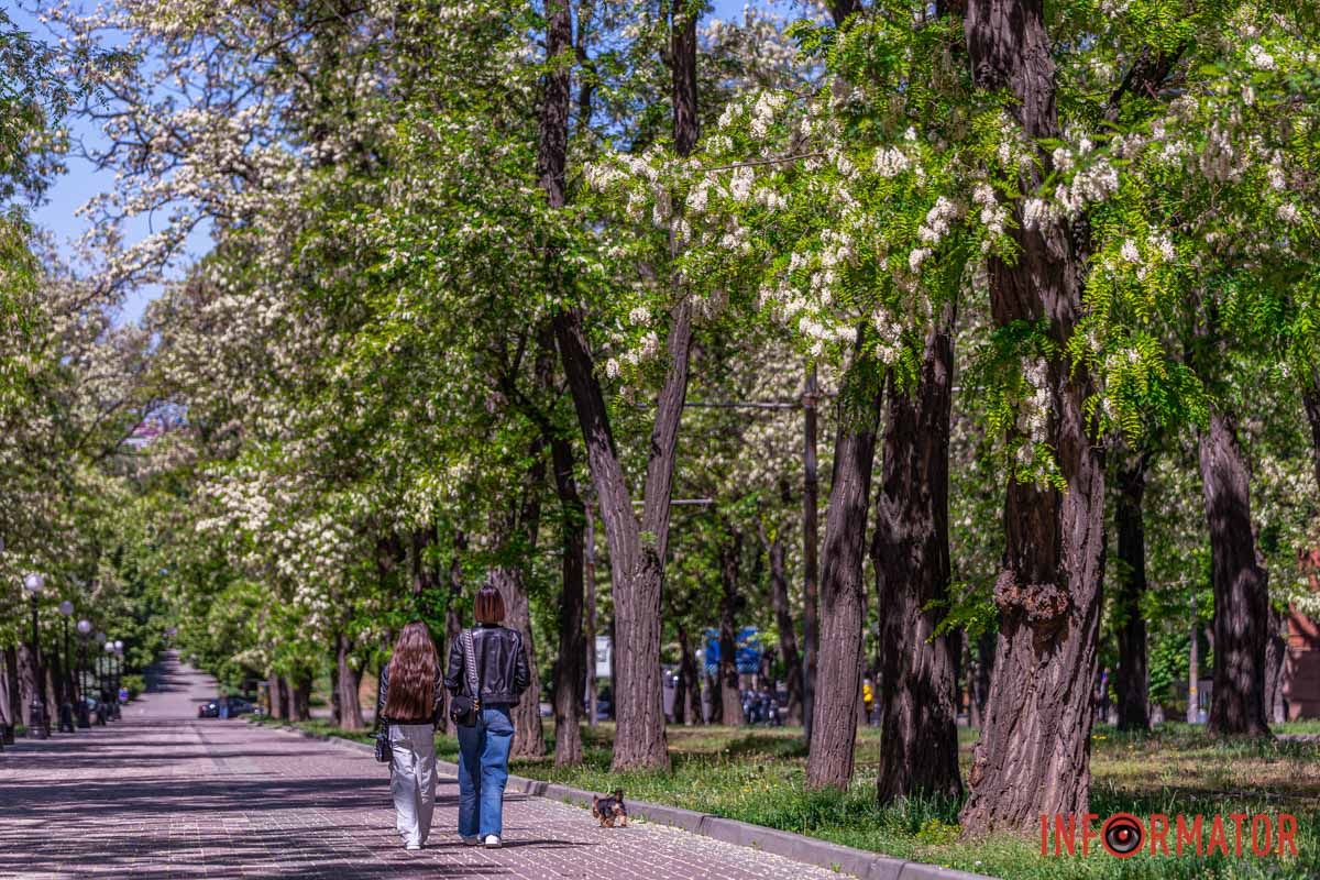 в образ єдиний навiки.