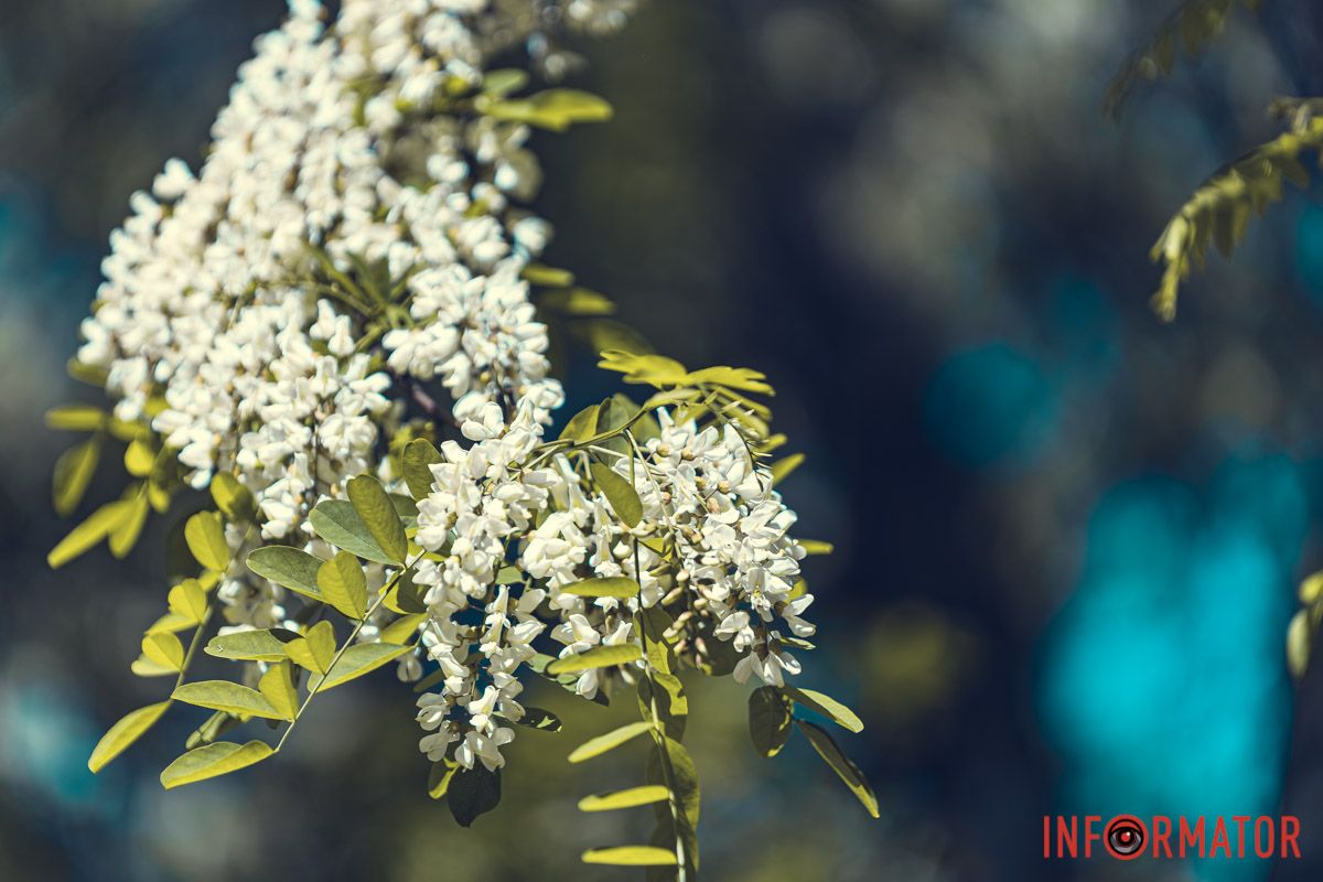 В ньому злилися i ти, i вона