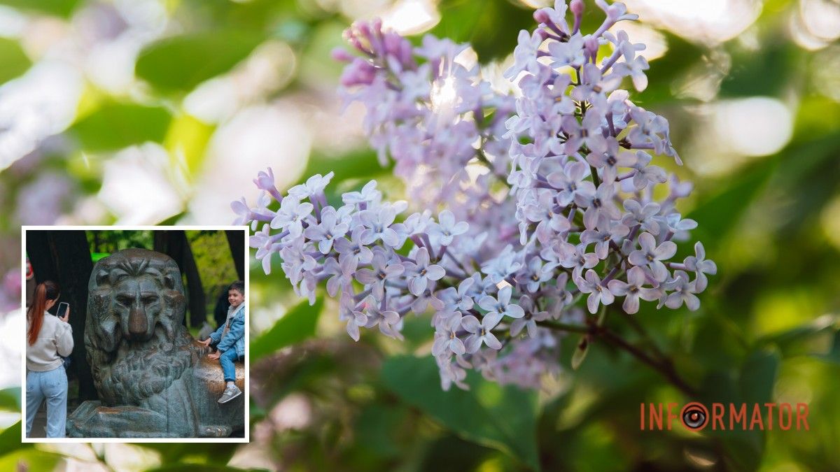 Погода на 10 мая: в Днепре будет ясно