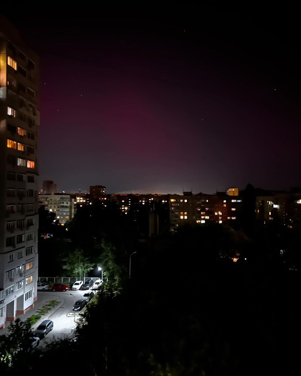 Фото: @hamster_dp_ua Фото: @hamster_dp_ua