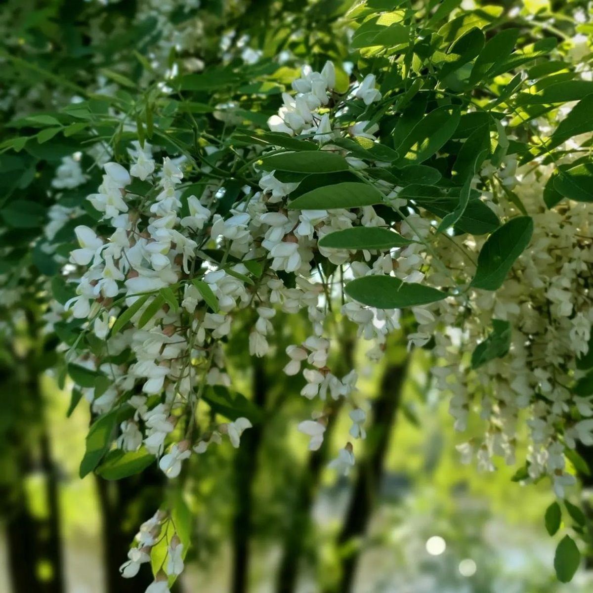 Фото: @semeniukim Фото: @semeniukim