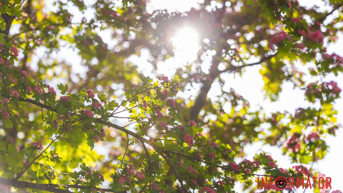 В Днепре переменная облачность: прогноз погоды на 12 мая