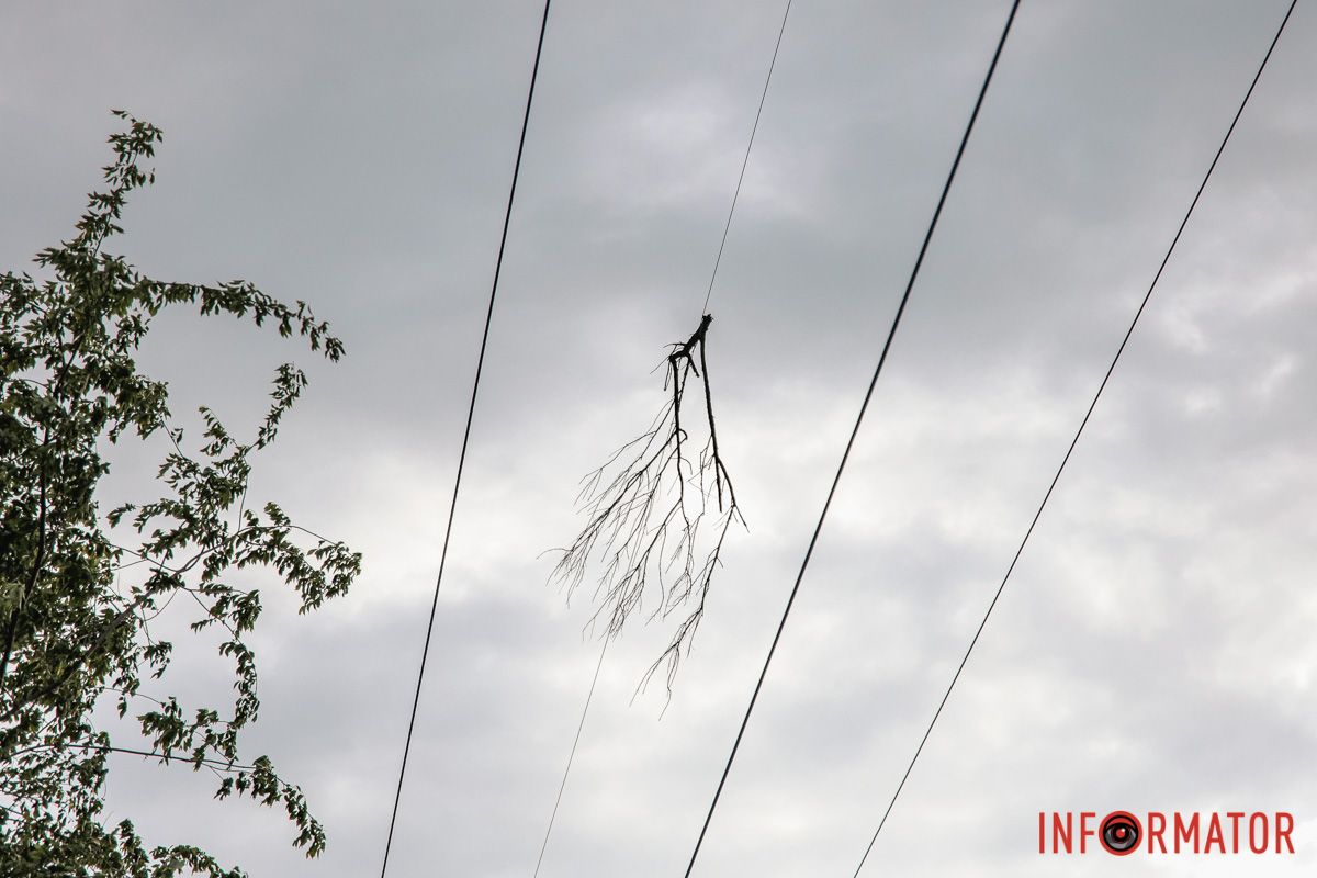 Гілка відлетіла на лінії електропередач