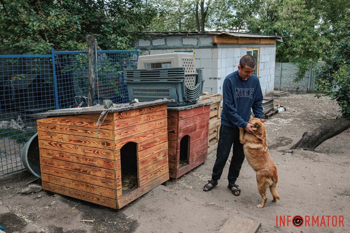 Тваринок вже заспокоїли