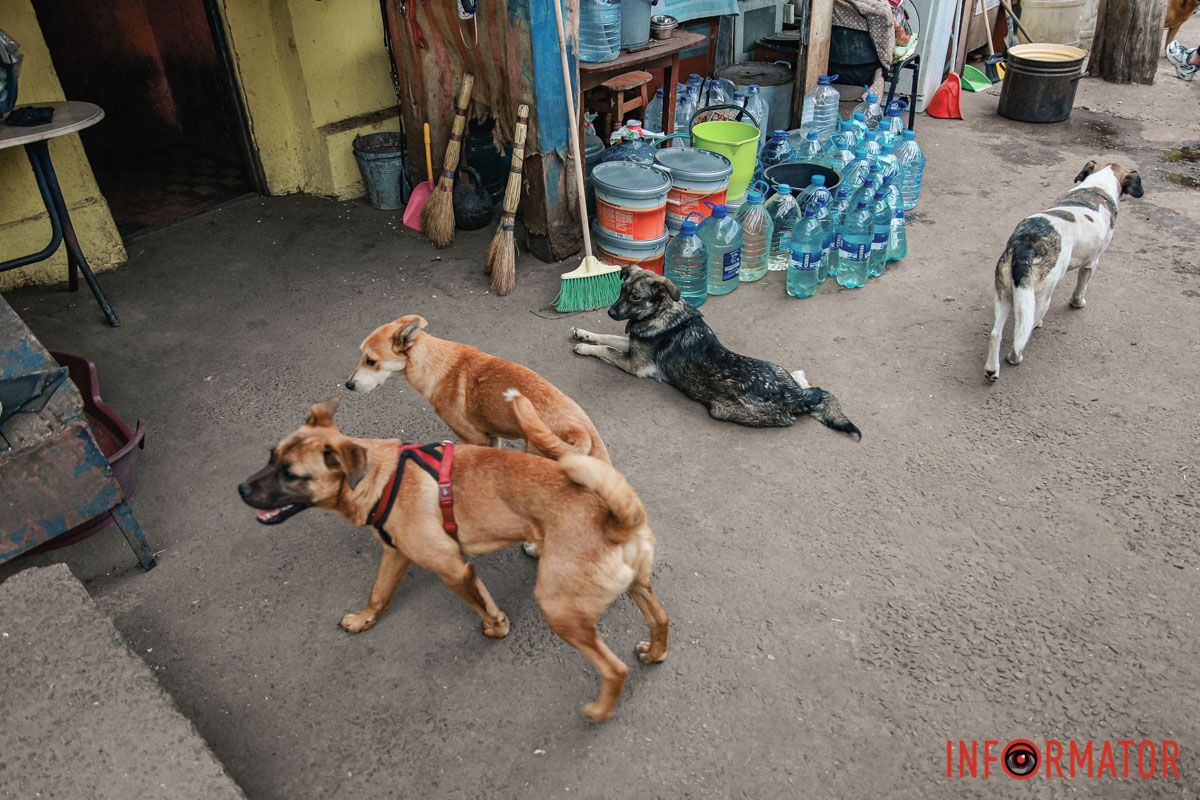 Тимчасово притулок залишився без води