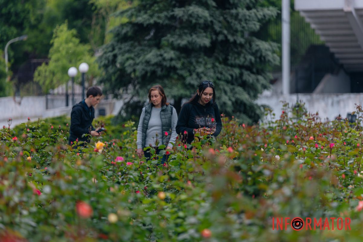 І кожна краплина немов полонить,