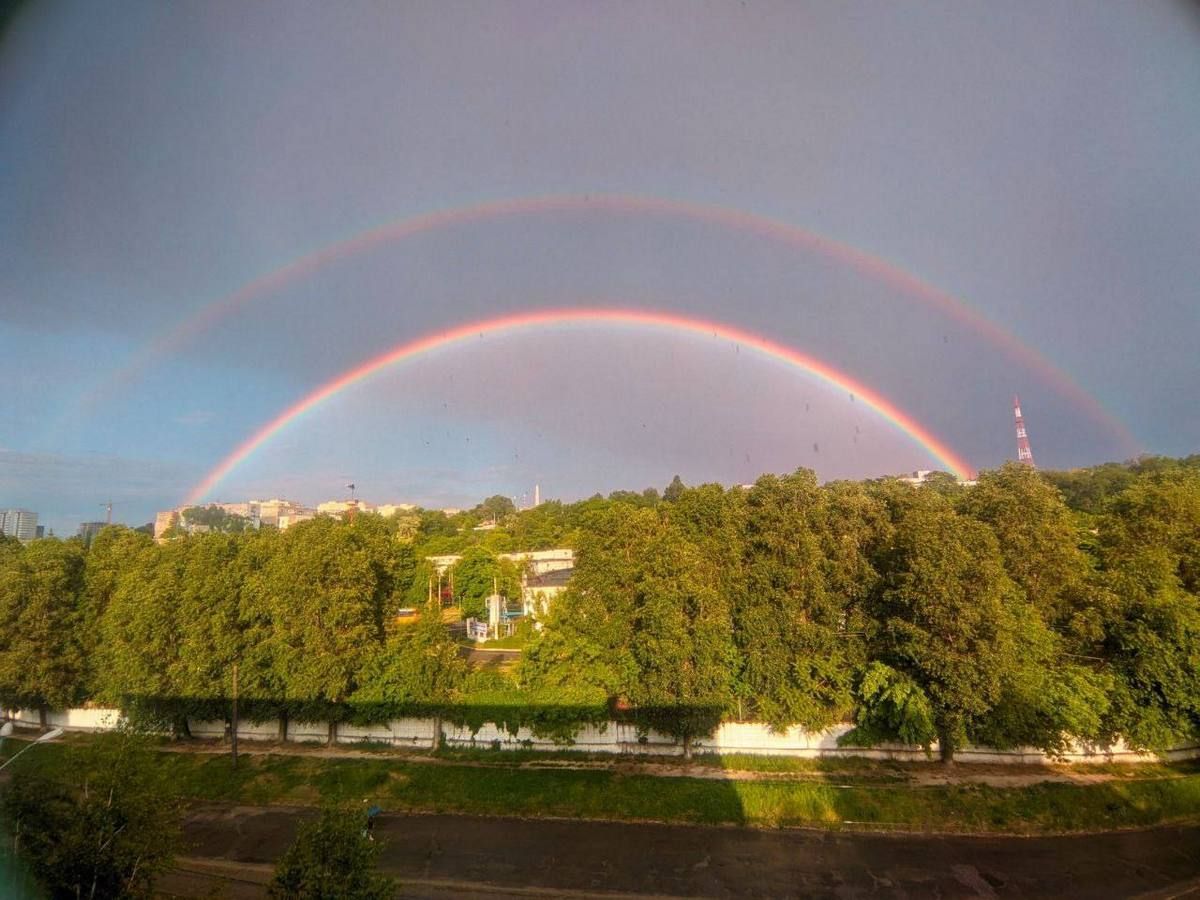 Цветное разнообразие