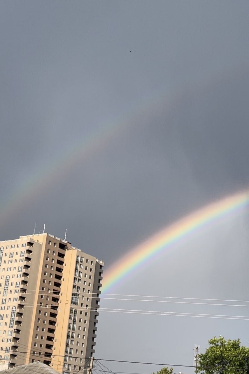 Говорят, это хороший знак