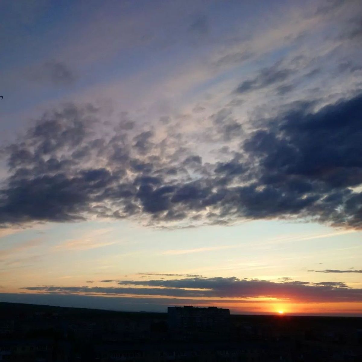 Фото: @amseemanns