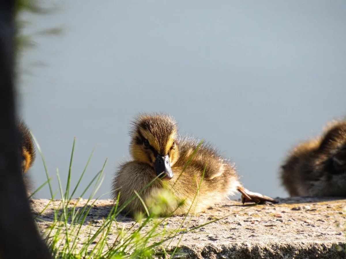 Фото: @photographer_andrey_moroz