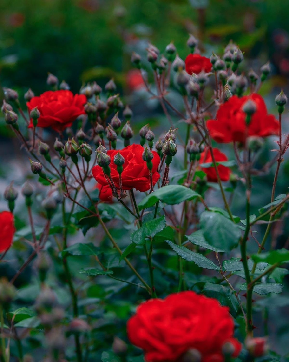 Фото: @dp.informator.ua