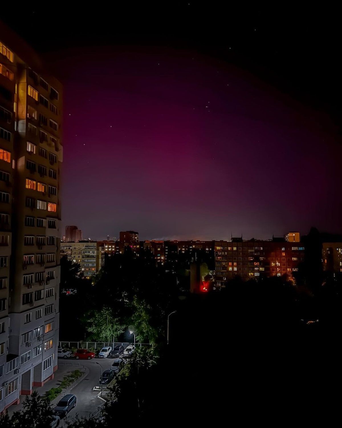 Фото: @hamster_dp_ua