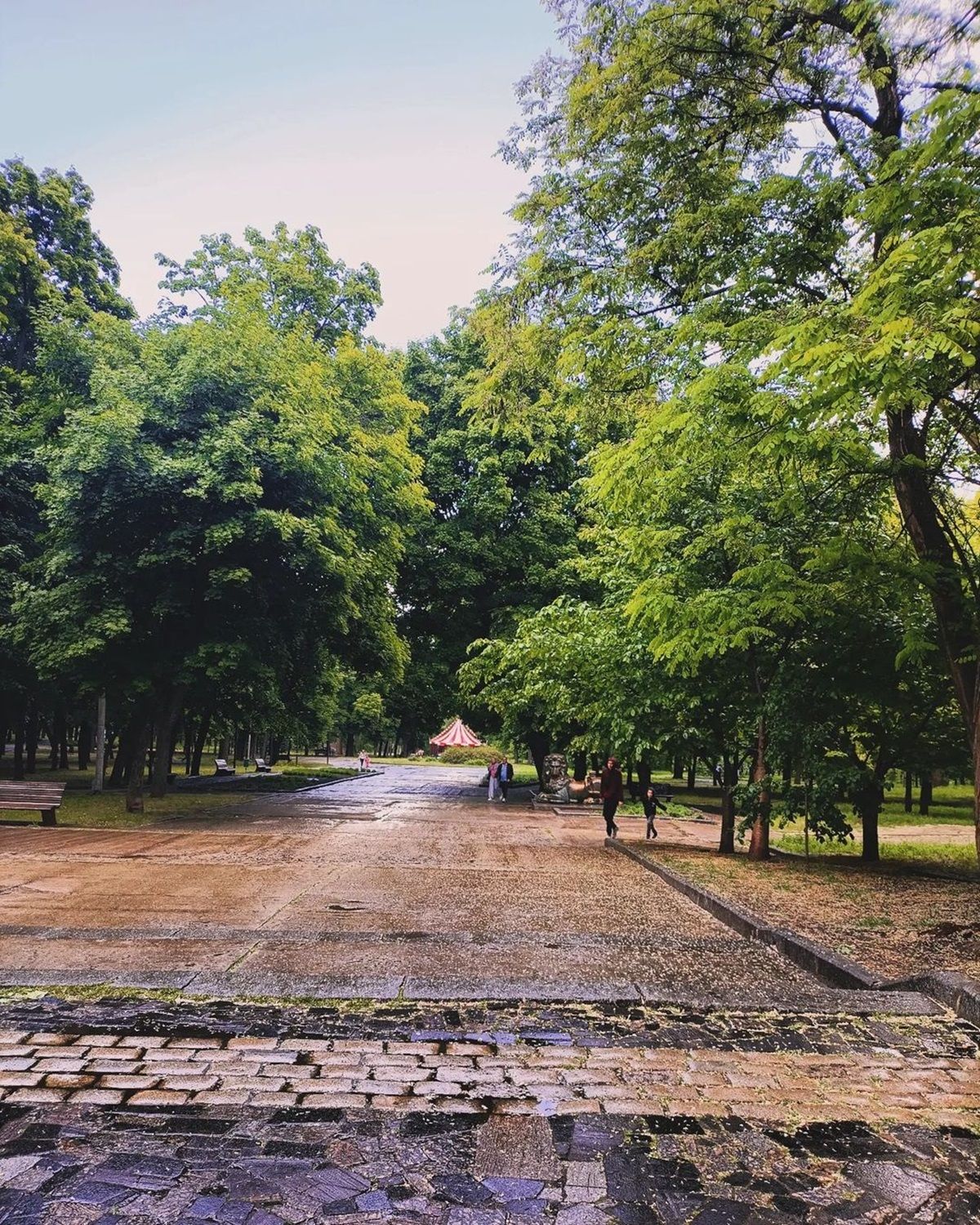 Фото: @renard_de_lenfer666666