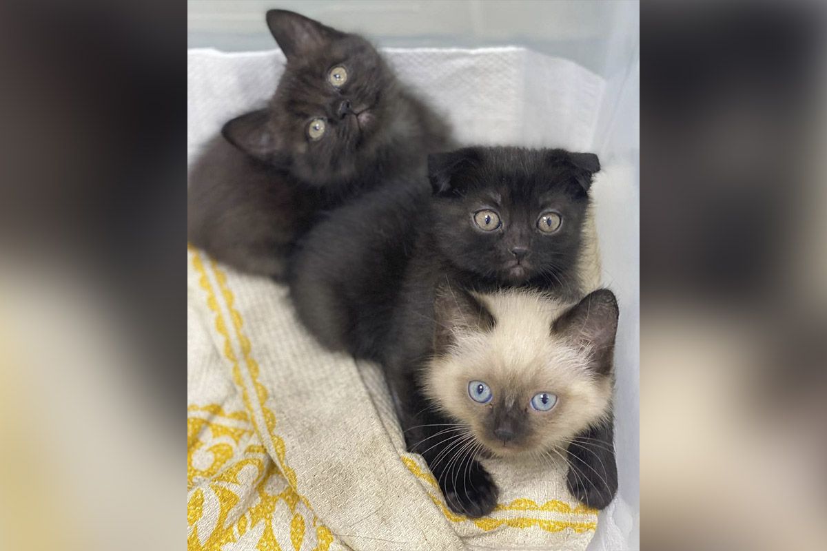 Они ждут вас