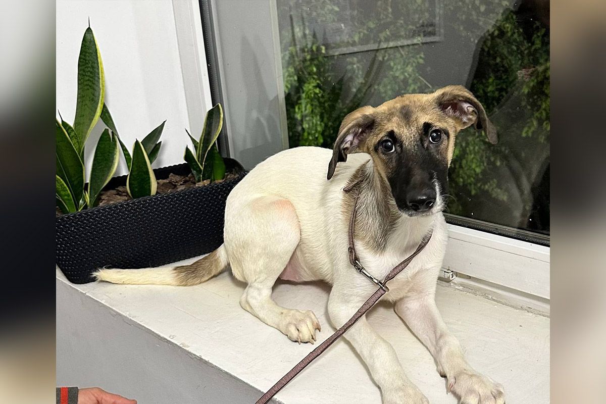 У нее пока нет имени, но вы можете его ей дать