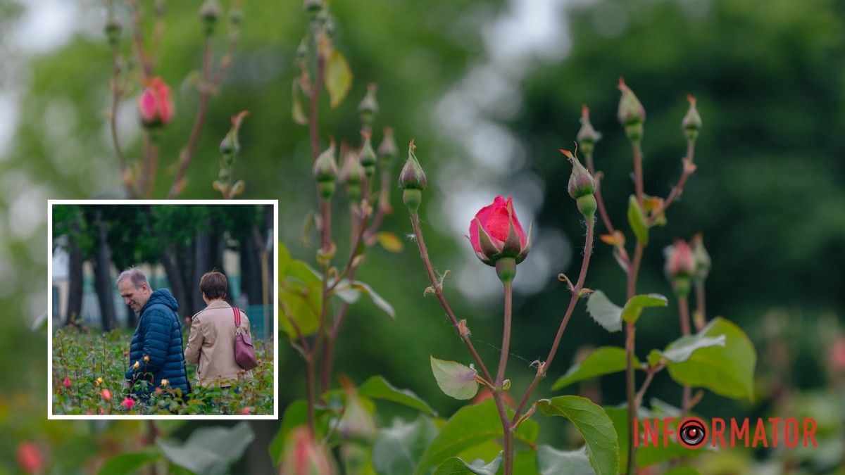 Погода на 22 травня: у Дніпрі буде слабка хмарність