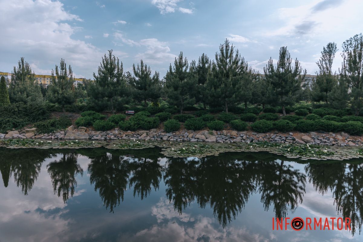 Незвична квітка дивовижна,