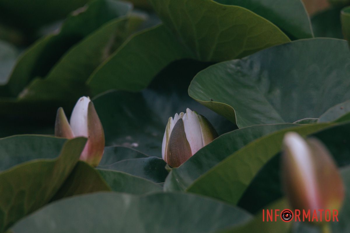 Мільйони літ вона незмінна.