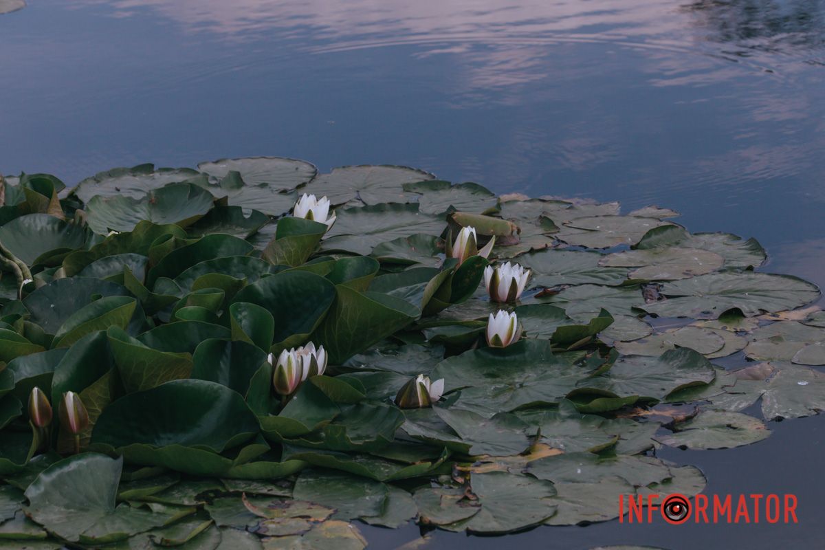 Із дна звелася величаво!