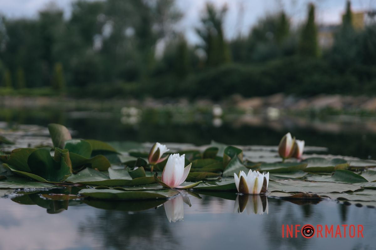 В грузькім багнищі народилась –