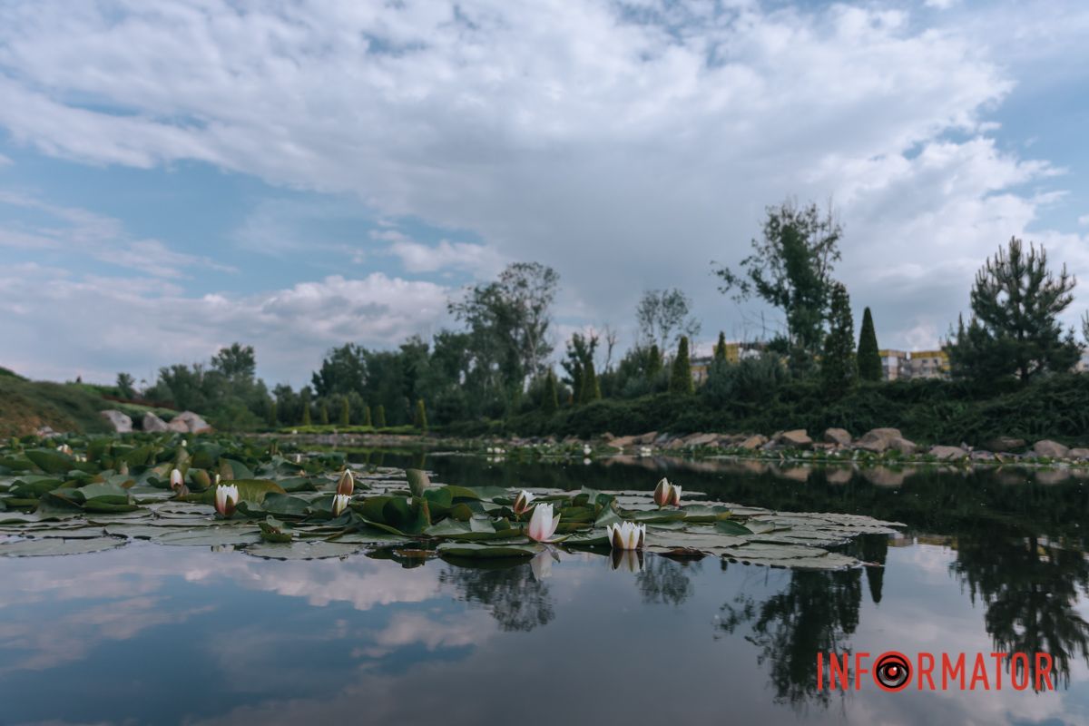 Вона ж вгорі – невинно чиста.