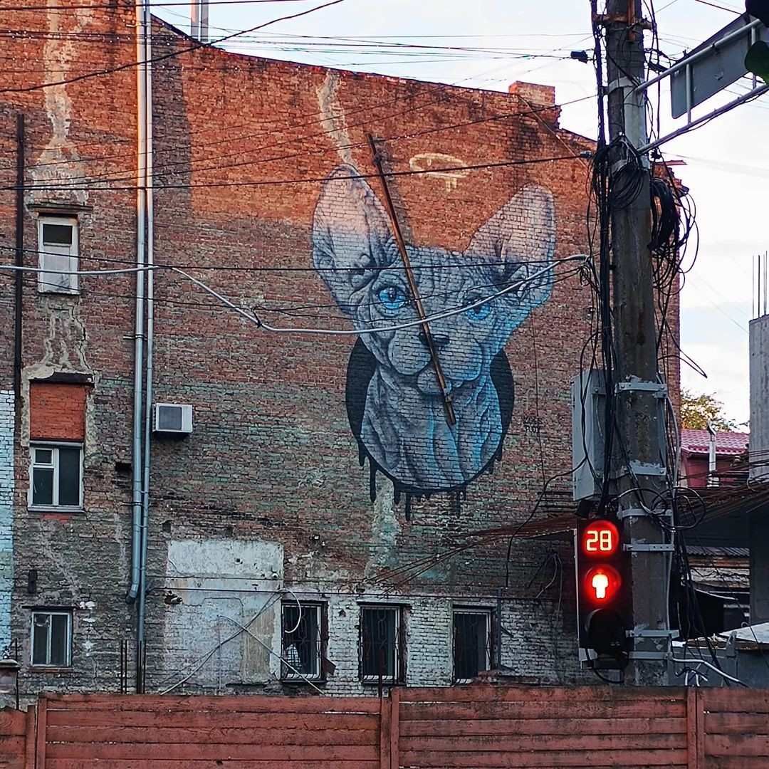 yourlittlekoi yourlittlekoi