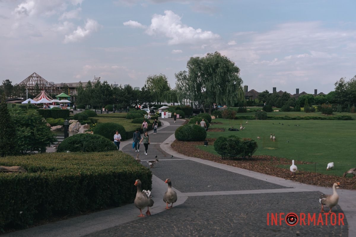 Ох скільки ж їх тут