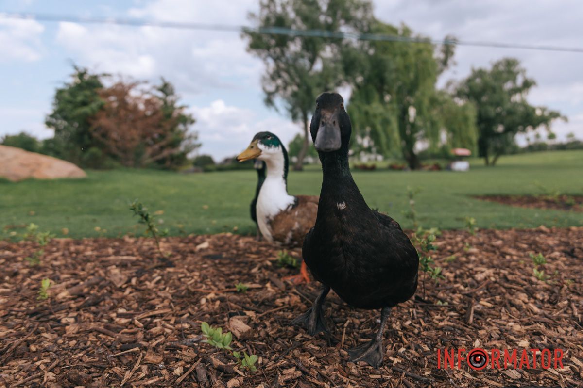 Ви хто такі? Я вам знімати дозволяв?