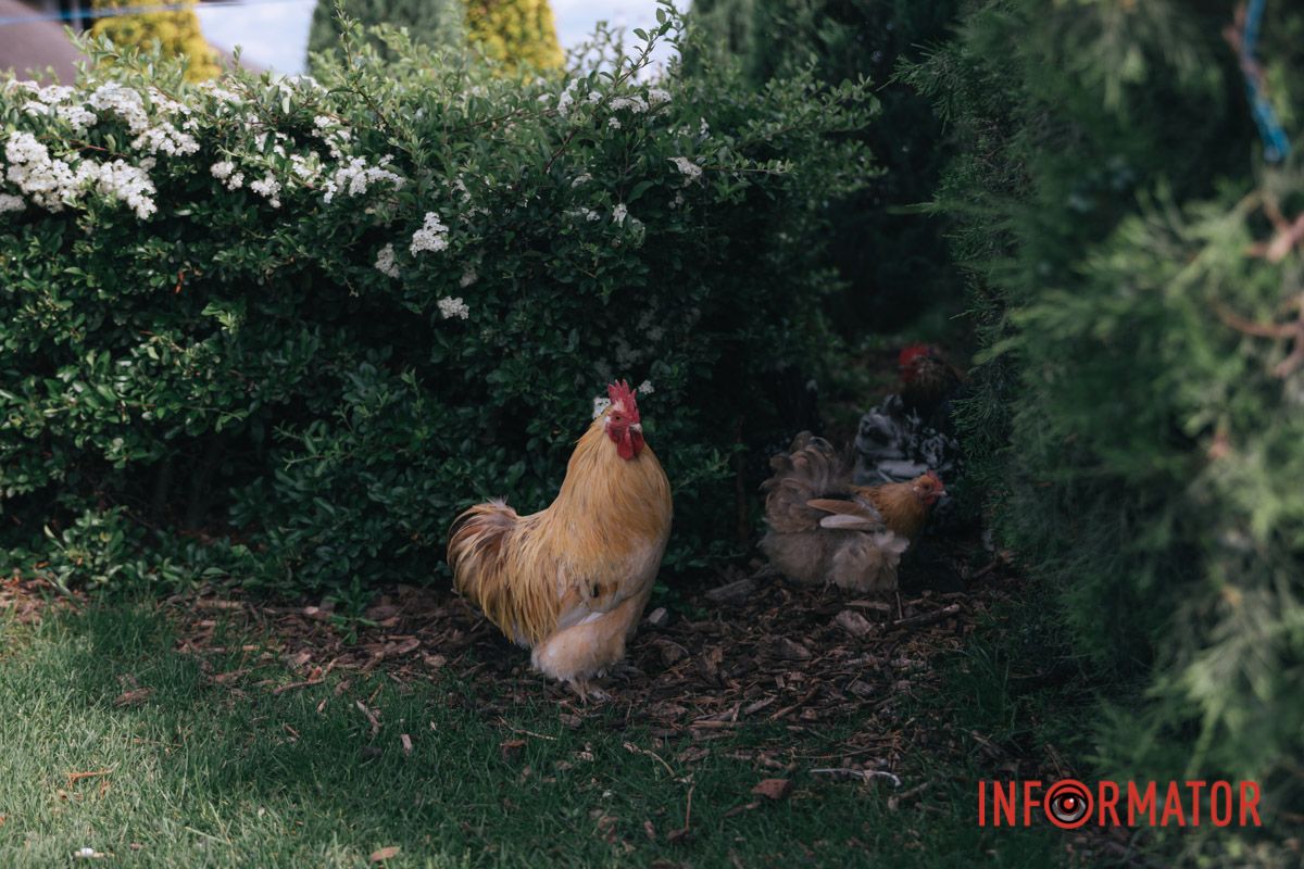 Це знову ти? 