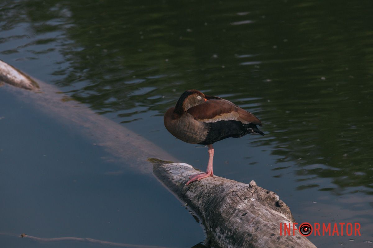 Іноді треба просто подивитися на проблему під іншим кутом