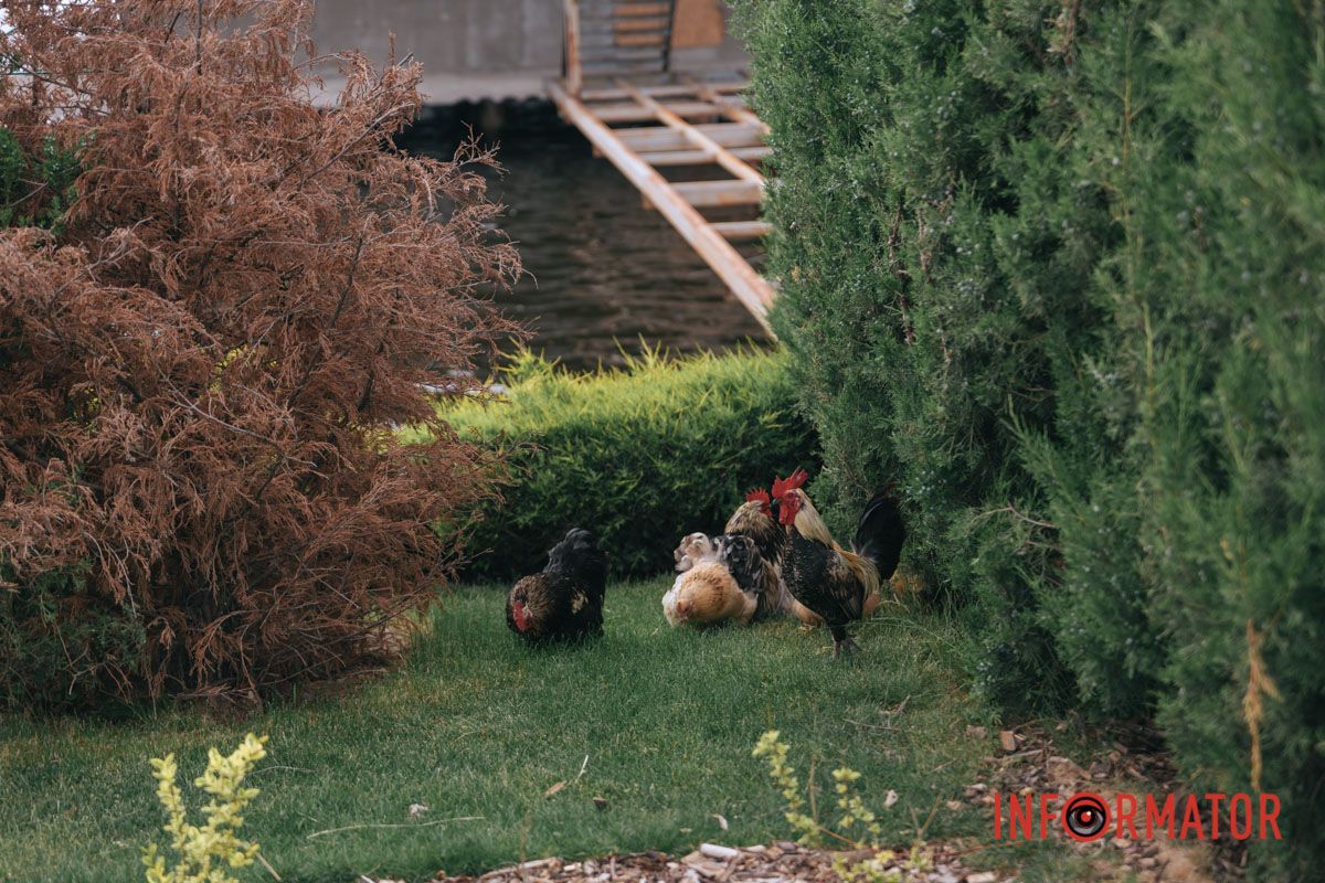 Він явно сповнений гордості