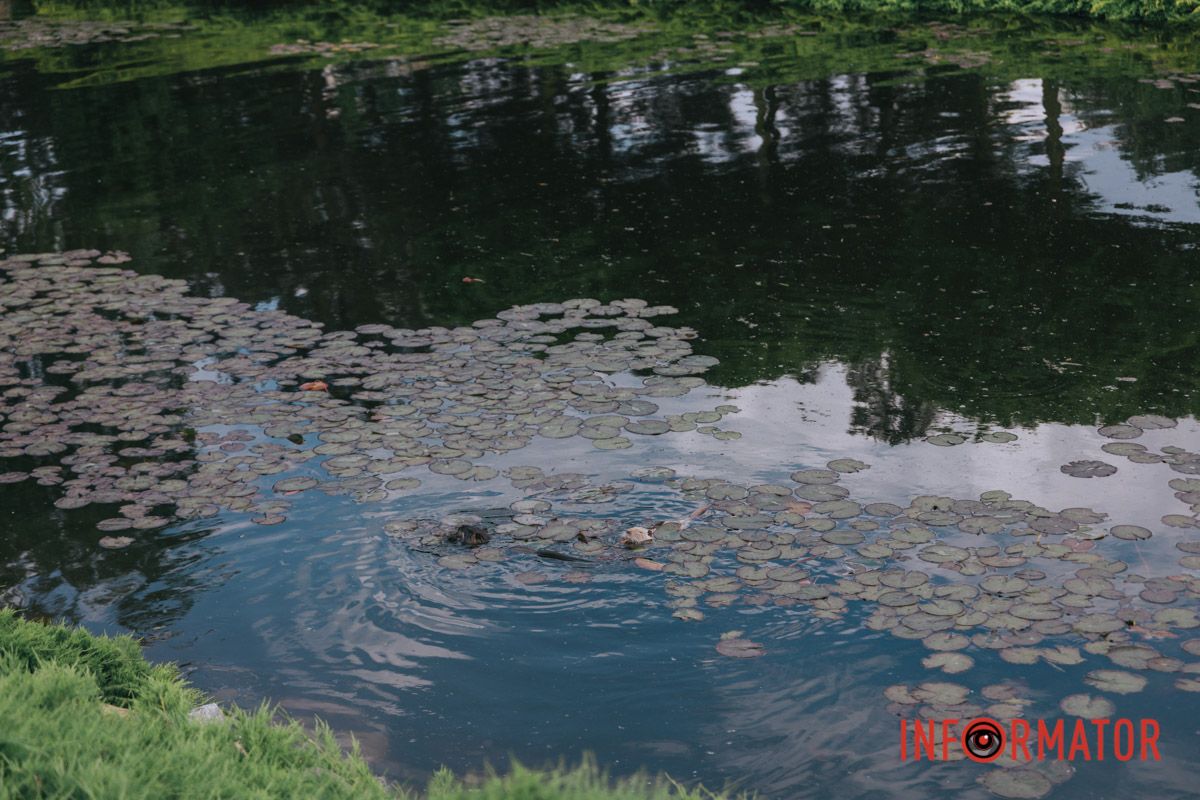 Кожен кадр - шедевр