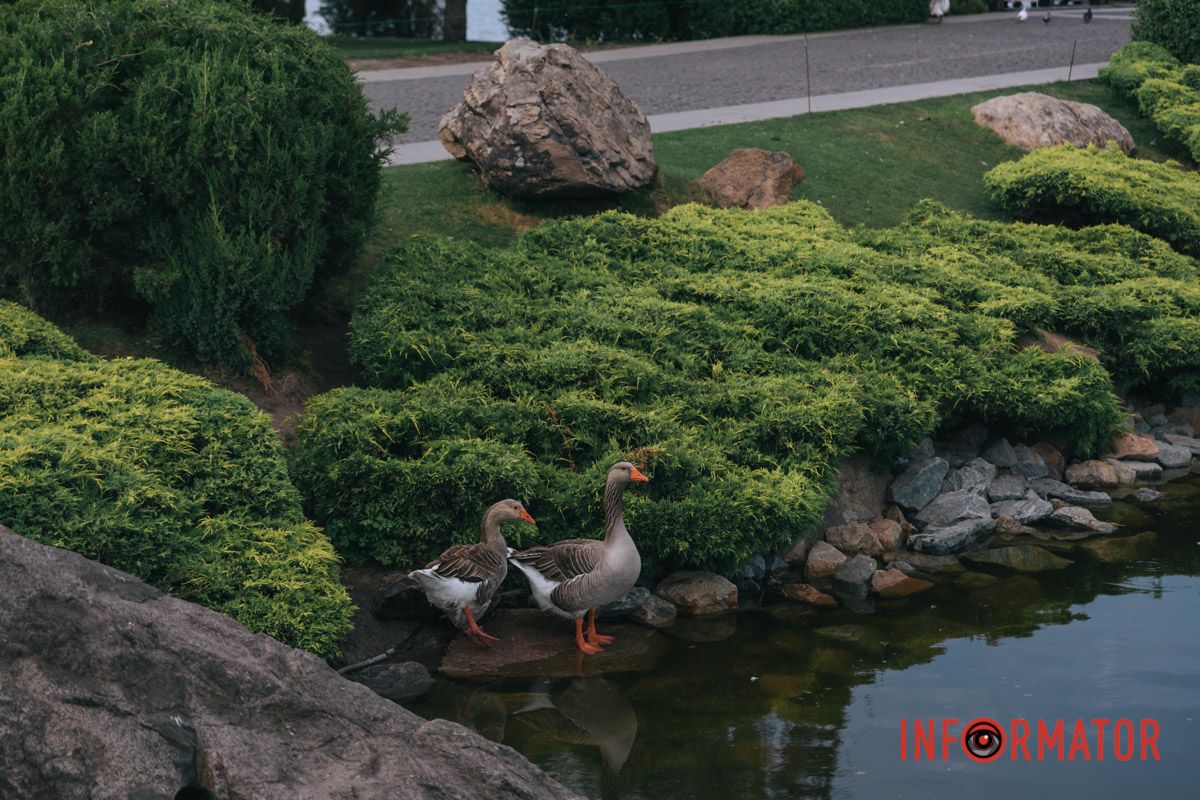 Давай, ти перший стрибай