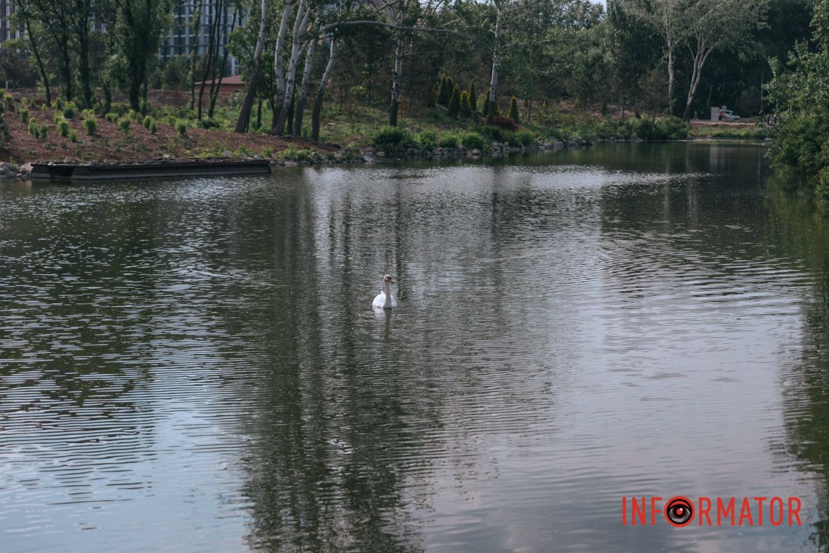 Нова історія життя